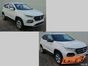 最新爆料车型大全图片,惊艳亮相,科技与时尚的完美融合”